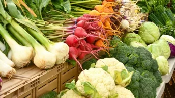 Étalage de légumes