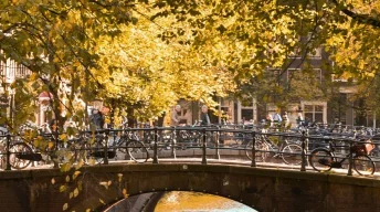 Pont